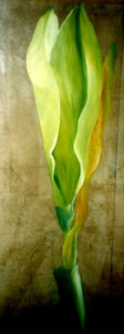 40x96 Eitempera und Graphit auf Papier