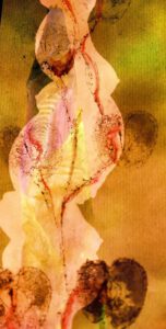 Nr.2 Foto Diaprojektion bedrucktes Chinapapier Irisknospe Schwangerschaft Apfel Fruchtbarkeit Symbol Mutterschaft Schoß Kunst